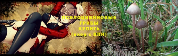 эйфоретик Володарск