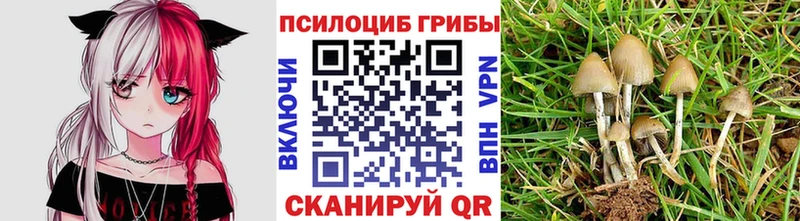 Купить закладки  Тогучин  Галлюциногенные грибы мухоморы 
